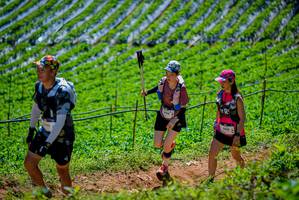 BIB: 496, 1400
                            <button type="button" onclick="openModal(19164707)" class="btn btn-primary btn-sm float-right btn-popup" data-toggle="modal" data-target=".modal-high-quality">
                        <i class="fas fa-shopping-cart"></i> Add to Cart
                    </button>
                                            <button type="button" onclick="isThisMe(19164707, true)" class="btn btn-success btn-sm float-right btn-popup btn-isme hidden" data-toggle="tooltip" data-placement="bottom" title="นี่คือรูปของคุณใช่ไหม คลิกที่นี่เพื่อเอาเข้าอัลบั้ม">
                        <i class="fas fa-plus"></i> Add to album
                    </button>
                    <button type="button" onclick="isThisMe(19164707, false)" class="btn btn-warning btn-sm float-right btn-popup btn-isnotme hidden">
                        <i class="fas fa-ban"></i> Remove from album
                    </button>